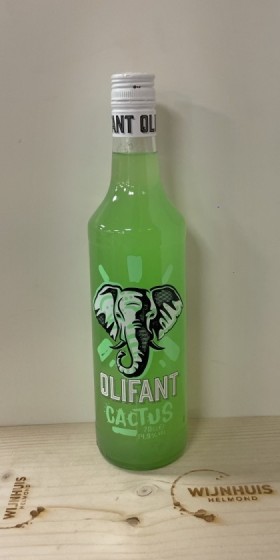 Olifant Cactus